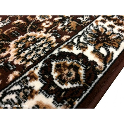 Běhoun Practica, hnědý