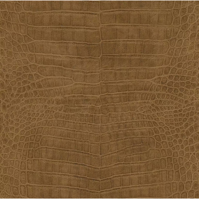 Tapeta Rasch - African...